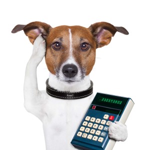 Cheapest dog insurance calculator