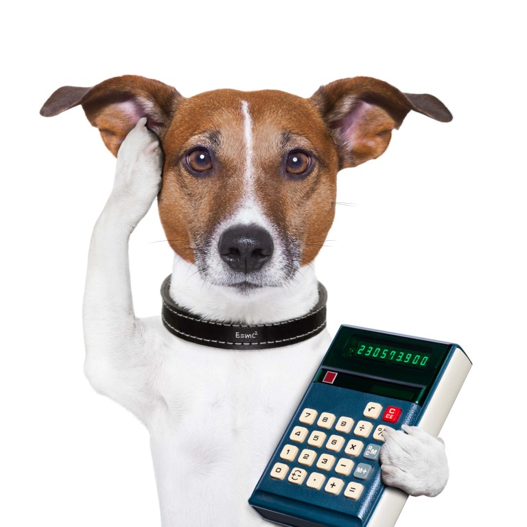 Cheapest Dog Insurance Companies Puppy Smarts