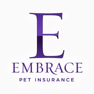 Embrace Dog Insurance Reviews