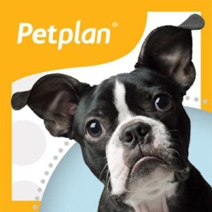 Petplan Dog Insurance Reviews