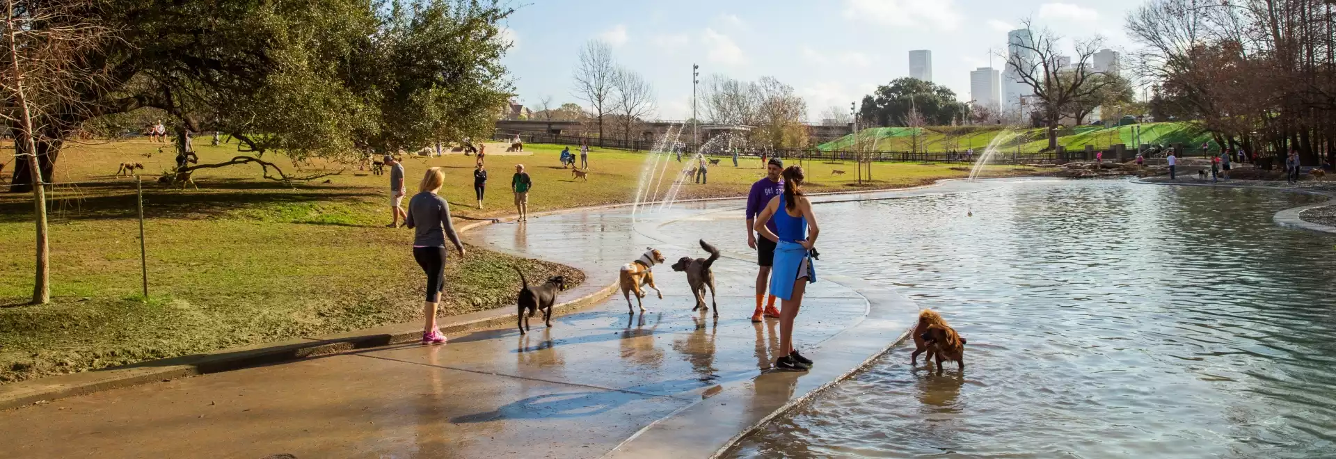 Millie Bush Dog Park