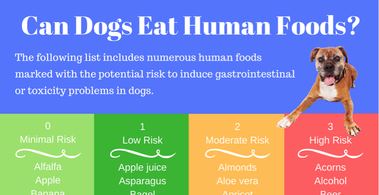 can dogs eat human food instead of dog food