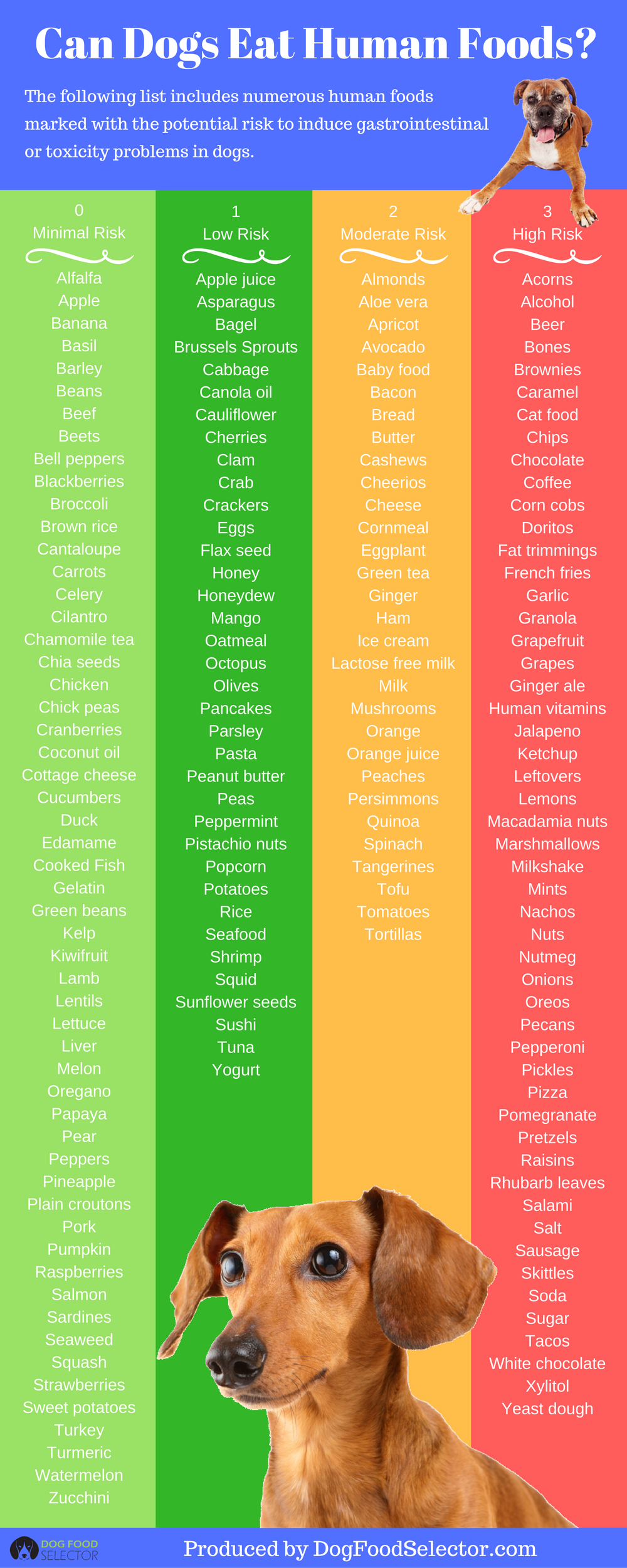 Can-Dogs-Eat-Human-Foods-Infographic