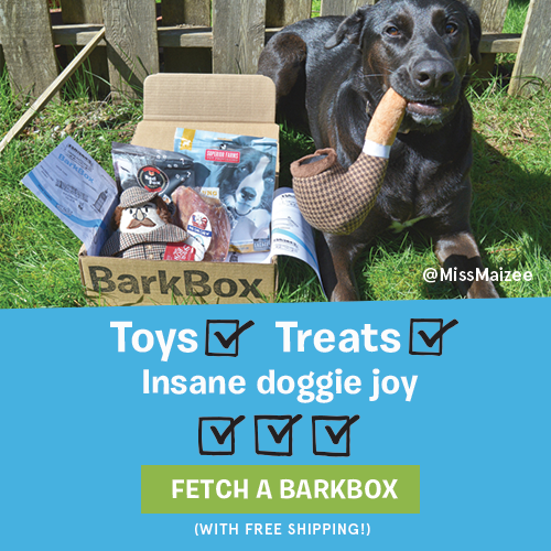 BarkBox – Free Shipping Banner