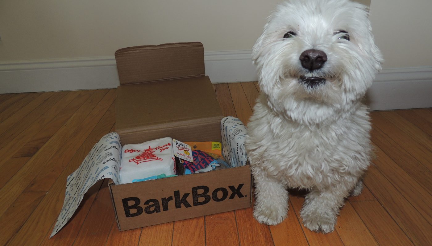 BarkBox Review – Is It the Best Subscription Box?