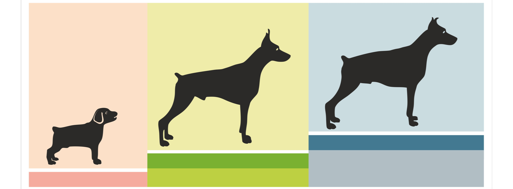 how-are-dog-years-counted-puppy-smarts