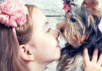 Which Dog Breeds are Hypoallergenic