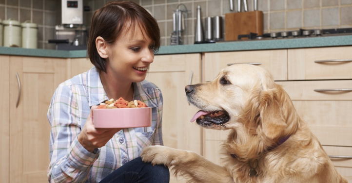 adding psyllium husk to dog food