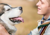 How Can Emotional Support Animals Help Boost Your Mood?