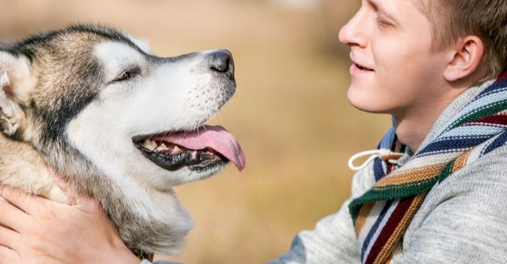 How Can Emotional Support Animals Help Boost Your Mood?