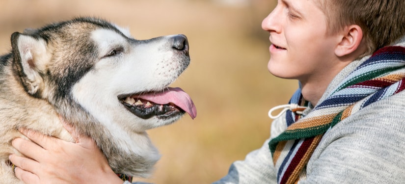 How Can Emotional Support Animals Help Boost Your Mood?