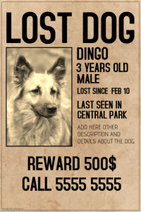 Missing Pet Flyer