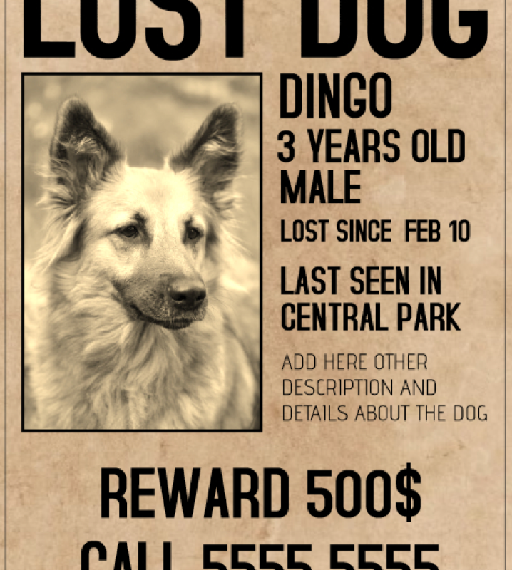 Missing Pet Flyer