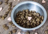 Dog Supplements to Keep Your Dog Healthy