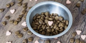 Dog Supplements to Keep Your Dog Healthy
