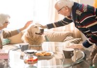 Dog Etiquette: Your Dog as a Houseguest