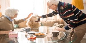 Dog Etiquette: Tips for Visiting Family and Friends with Your Dog