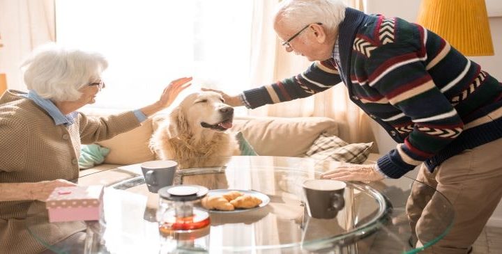 Dog Etiquette: Your Dog as a Houseguest