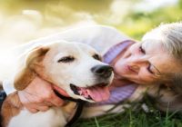 12 Ways to Help Your Dog Live a Longer, Happier Life