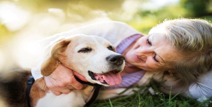 12 Ways to Help Your Dog Live a Longer, Happier Life