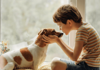 My Dog Snapped at My Child! What Should I Do?