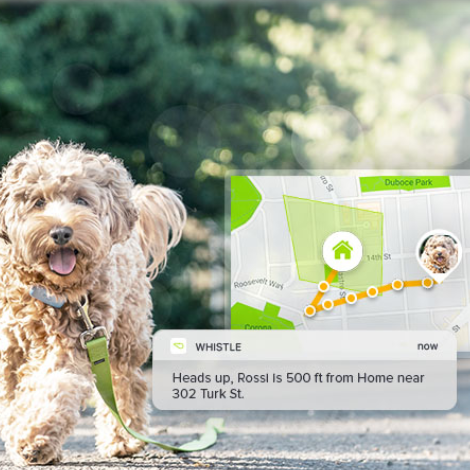 How the Whistle GPS Pet Tracker Works