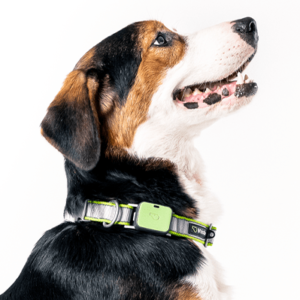Key Features of the Whistle Pet Tracker Unit