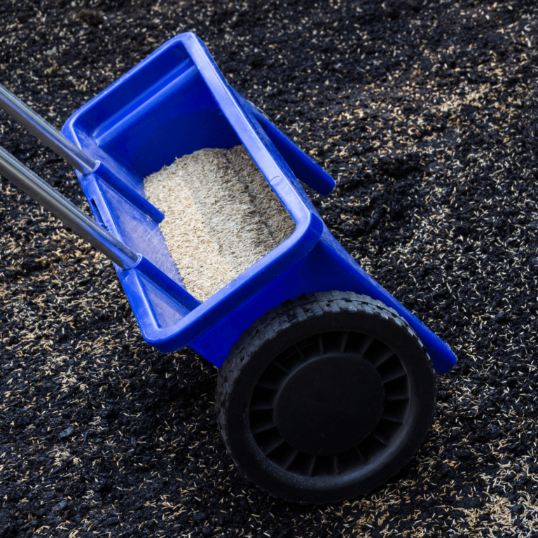 Is Your Weed Killer Safe for Pets? Puppy Smarts