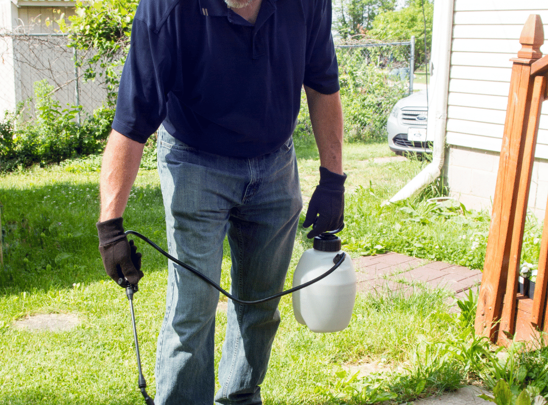 Is Weed Killer Safe for Pets_