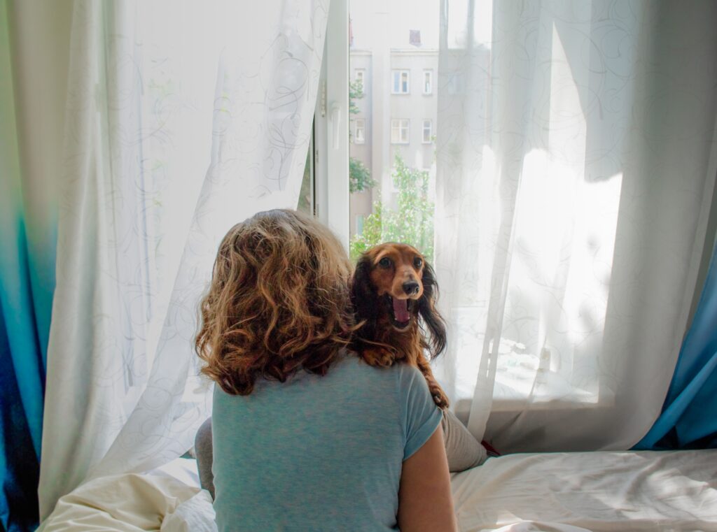 holding long haired dachshund